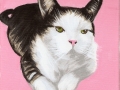 cat-piggie