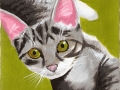 cat-trixie