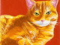 cat-ubie